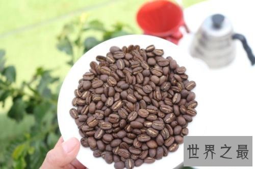 世界上最贵的咖啡,2700多元人民币一千克!