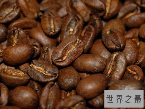 世界上最贵的咖啡,2700多元人民币一千克!