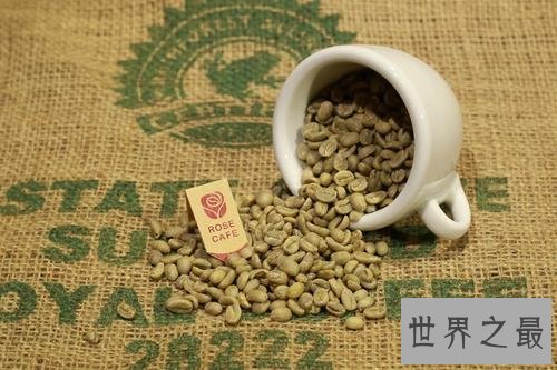 世界上最贵的咖啡,2700多元人民币一千克!