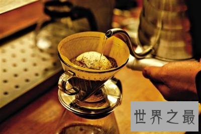 世界上最贵的咖啡,2700多元人民币一千克!