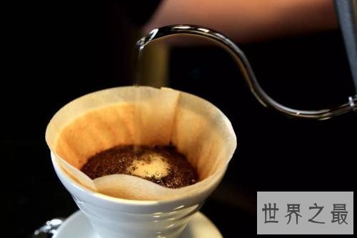世界上最贵的咖啡,2700多元人民币一千克!