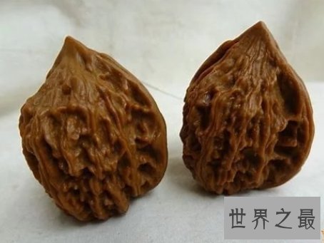 世界上最贵的核桃,这种核桃已经成为了文玩。