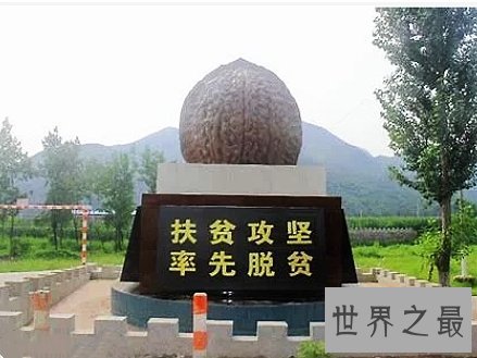 世界上最贵的核桃,这种核桃已经成为了文玩。