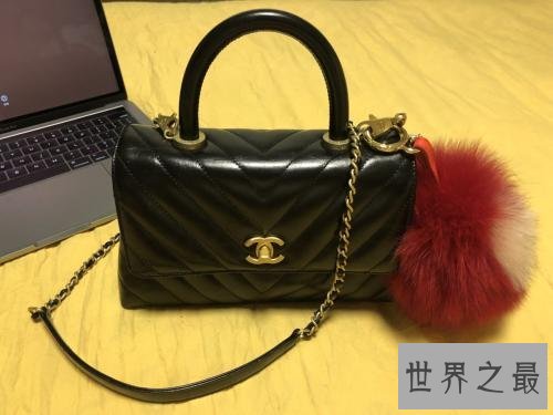 世界上10个最昂贵的手提包品牌排行榜,手提包哪个牌子好?