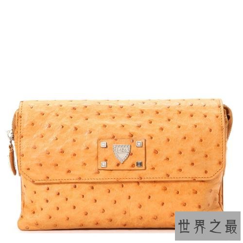 世界上10个最昂贵的手提包品牌排行榜,手提包哪个牌子好?