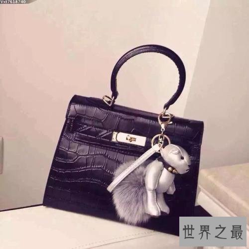世界上最贵的包包品牌排行榜,哪个包包牌子好?