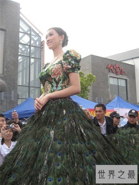 世界上最贵的婚纱 ,1000颗钻石加持(1200万美元)