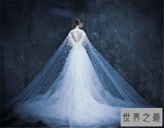 世界上最贵的婚纱 ,1000颗钻石加持(1200万美元)