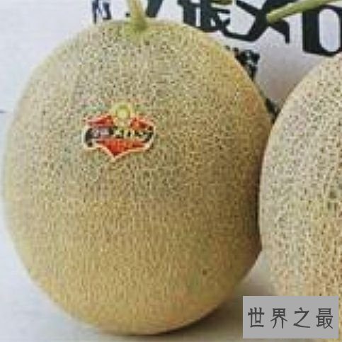世界上最贵的十大食物,吃每个都像是在吃黄金。