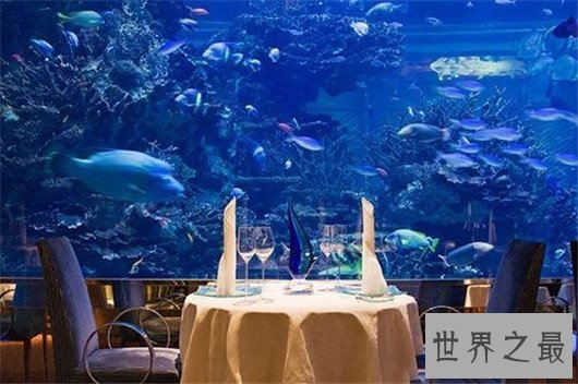 迪拜水下酒店,让我们和鱼共舞吧(一晚3.6万,唯一的一十星级酒店)