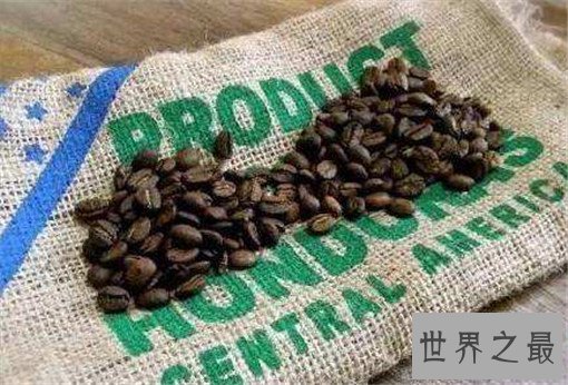 世界上最贵的10种咖啡,仅一磅就要350美元
