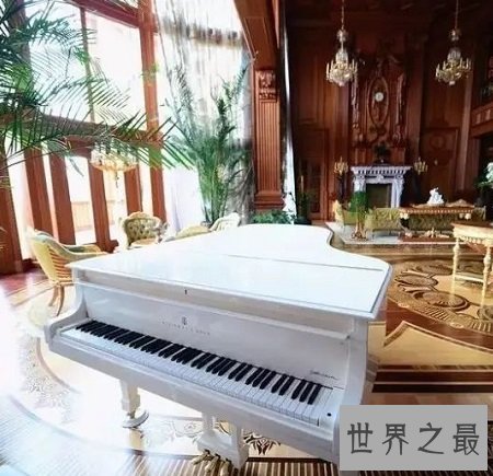 世界上最贵的十个钢琴,三百万的水晶钢琴也不如它