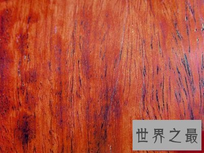 全球十大最名贵的木材大盘点,你家家具入围了吗?