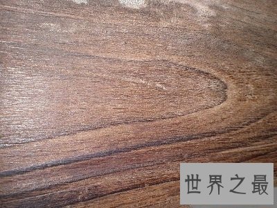 全球十大最名贵的木材大盘点,你家家具入围了吗?