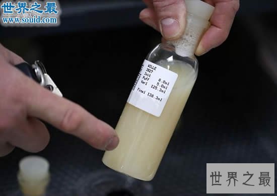 世界上最贵的精液,价值35万既然还被偷走