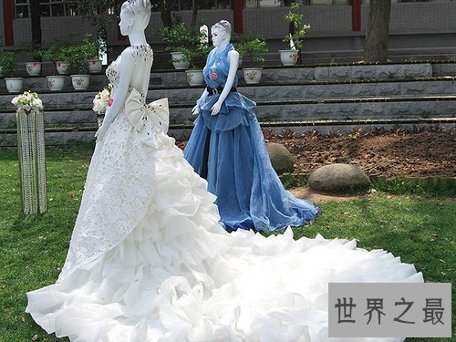 世界上最贵的婚纱,皇室婚纱(6500万)