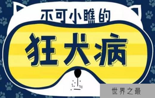 狂犬病