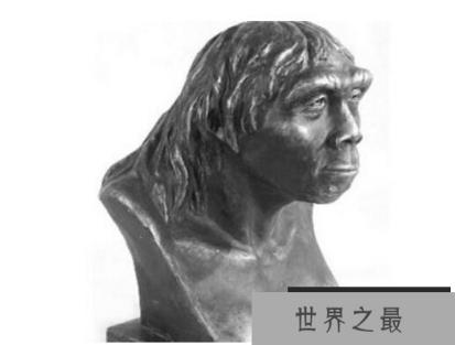 1589253606220307.png 1.png