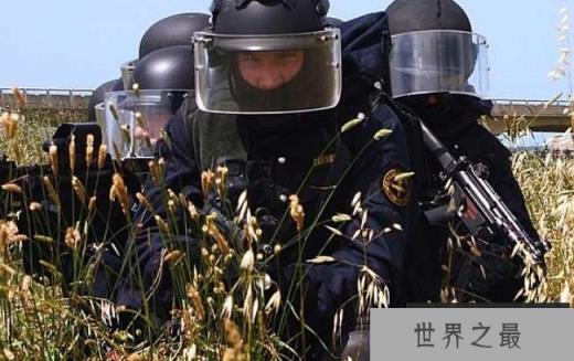  意大利GIS
