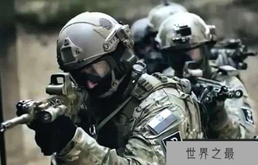 波兰机动反应作战部队