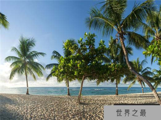 巴巴多斯