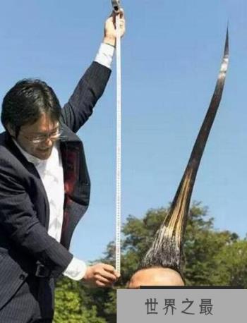 世界上最高的莫西干发型：1.18米