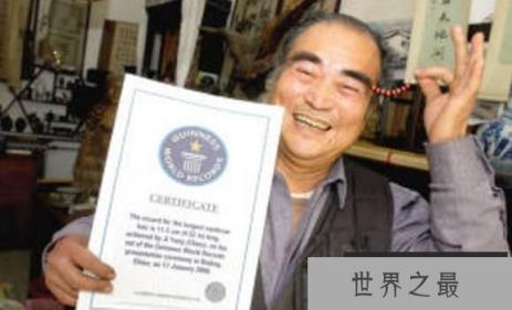 世界上最长的眉毛，长度为19.1厘米，至今无人超越（图2）