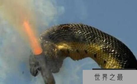 世界上最长的蛇：红海巨蟒，体长500米的深海杀手(鱼雷炸成肉酱)