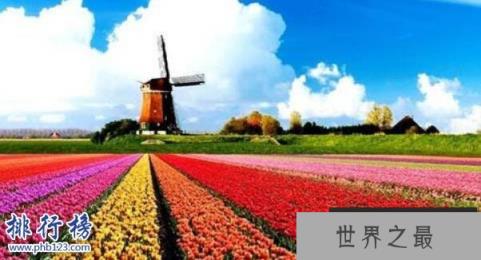 2021全球各国智商排名 2021全球各国智商排名