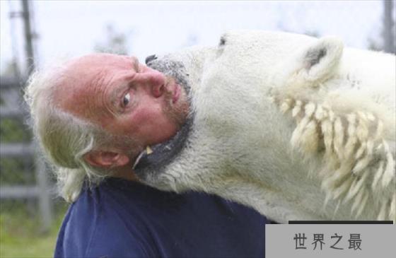 世界上最耐咬的男人 把自己的身体送给猛兽咬(Coyote)