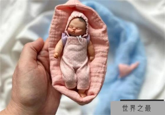 世界上最小的婴儿 五胞胎当中的孩子(250克)