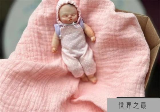 世界上最小的婴儿 五胞胎当中的孩子(250克)