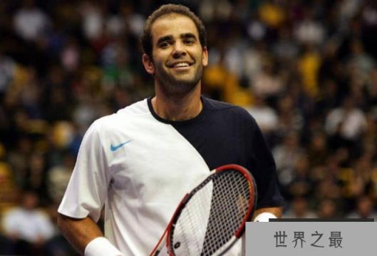 世界十大著名网球运动员 纳芙娜蒂诺娃较优秀(有惊人成绩)