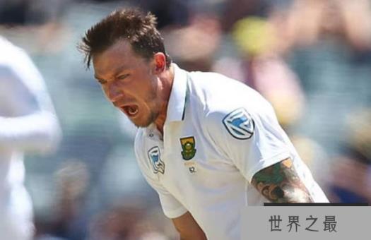 世界十大最帅板球运动员 澳大利亚运动员第一(表现出色)