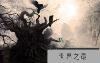 揭秘：清朝历史上的吉祥鸟为何是乌鸦不是凤凰？
