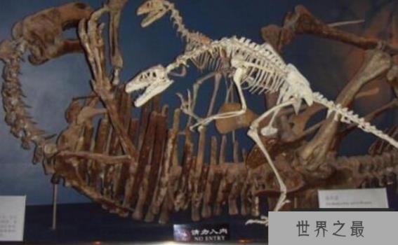 恐人学说成立将会成为人类的主宰 恐人学说成立将会成为人类的主宰