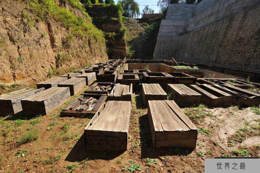 timg - 2020-07-21T183418.653.jpg