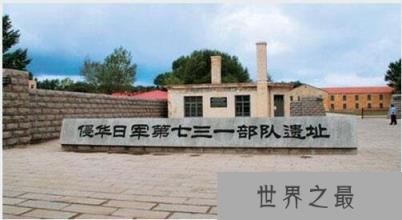 马路大是什么意思，侵华日军731污辱人体实验的称呼