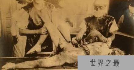 马路大是日本731部队的试验者，被各种生化武器折磨至死