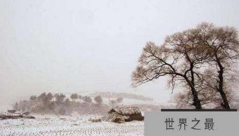 【图】清朝骇人听闻的宁古塔披甲人，去的人都被折磨到死