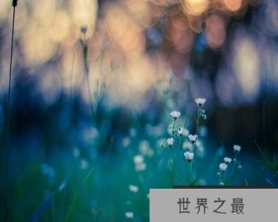 【图】不破楼兰终不还！这是怎样的一种恨意呢？