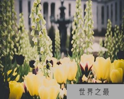 【图】不破楼兰终不还！这是怎样的一种恨意呢？