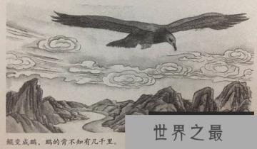 【图】“北冥有鱼，其名为鲲”——逍遥游原文