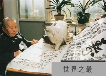 【图】一片冰心在玉壶的散文家冰心简介