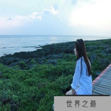 【图】今天带你去认识有关舒服的近义词