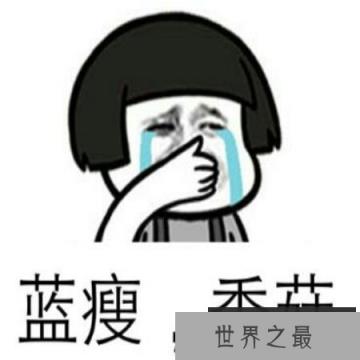 【图】今天带你去认识有关舒服的近义词