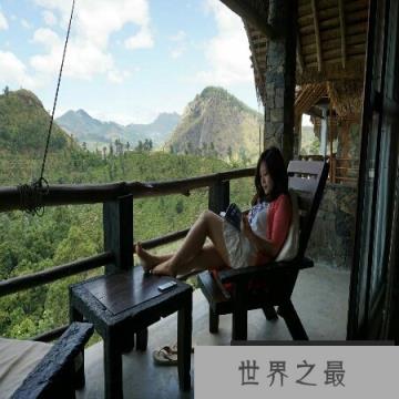 【图】今天带你去认识有关舒服的近义词