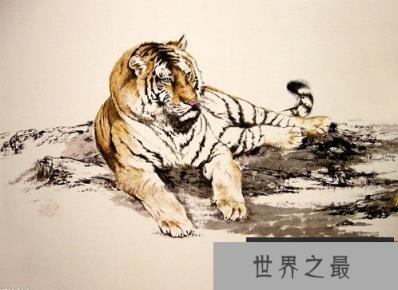 【图】1986年属什么？1986年属什么呢？