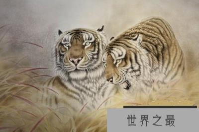 【图】1986年属什么？1986年属什么呢？