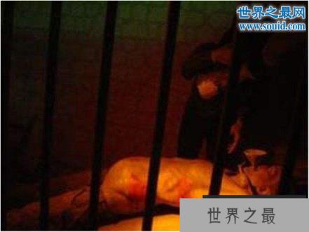 中国古代十大最残忍酷刑，凌迟处死要割足3600刀